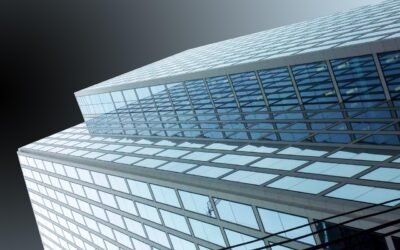 What Is the LLC Business Structure?